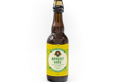 Andsoit Gose w/Apricot 2019