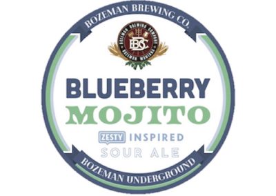 Blueberry Mojito Zesty Inspired Sour Ale 2021