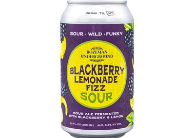 Blackberry Lemonade Fizz Sour