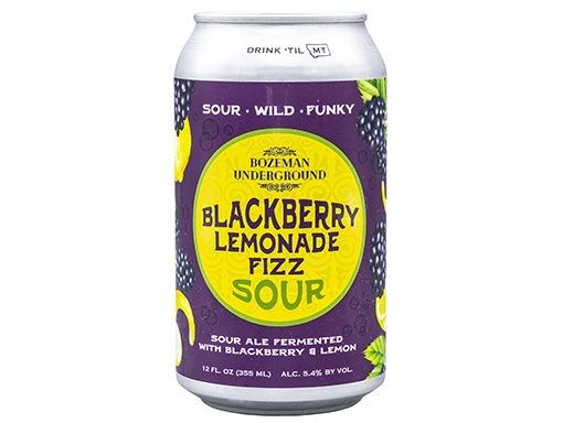 Blackberry Lemonade Fizz Sour
